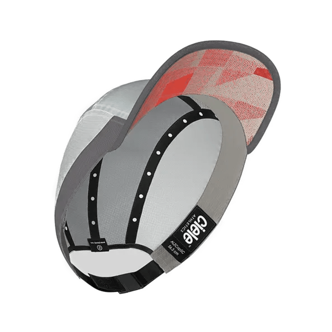 ALZCap SC - Standard Corp - Halo