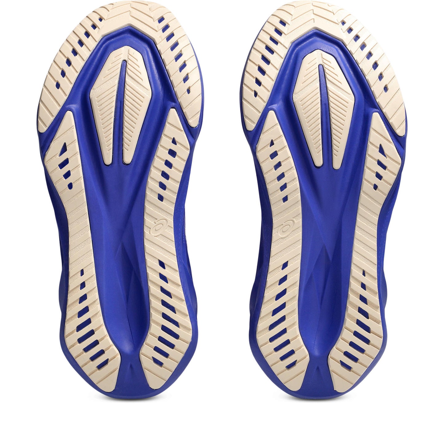 Asics Novablast 5 Women's - Cobalt Burst/White